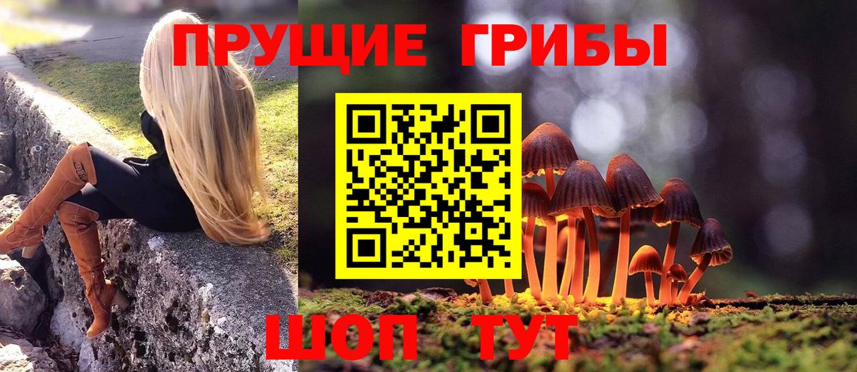 Псилоцибиновые грибы GOLDEN TEACHER Балашов