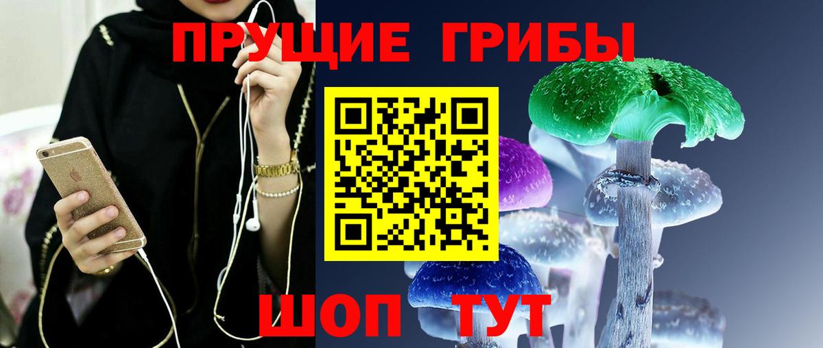 цены   Псилоцибиновые грибы Psilocybe  Вход с VPN  Балашов 